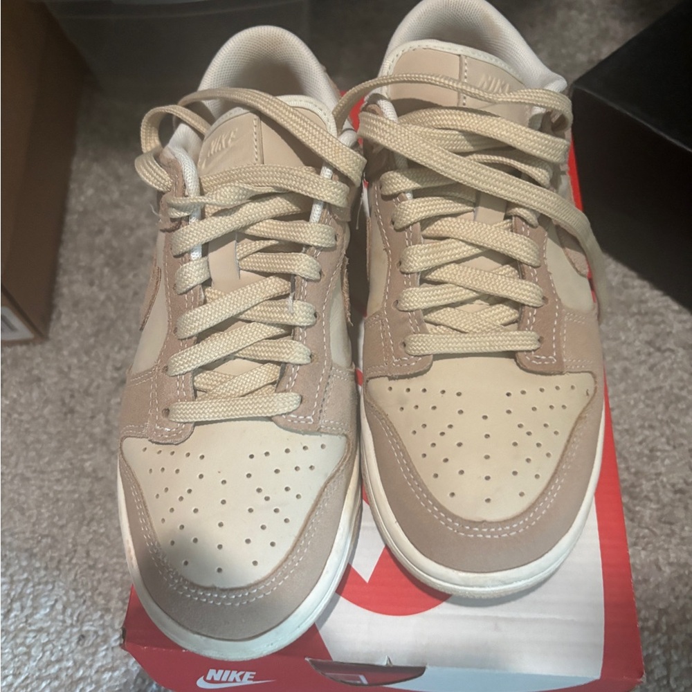 Nike Dunk low, Teddy, 6